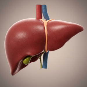 fignar é bom para o figado (1)