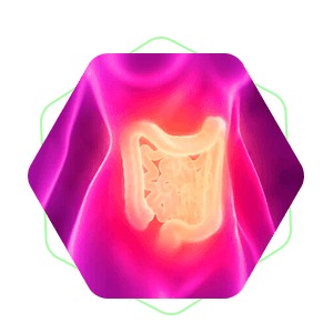 bn3